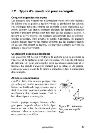 5.2    Types d’alimentation pour escargots
Ce que mangent les escargots
Les escargots sont végétariens et apprécient toute...