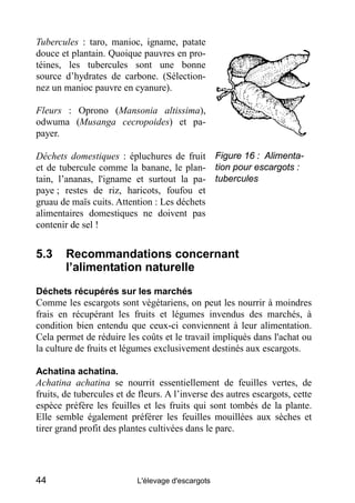Tubercules : taro, manioc, igname, patate
douce et plantain. Quoique pauvres en pro-
téines, les tubercules sont une bonne...