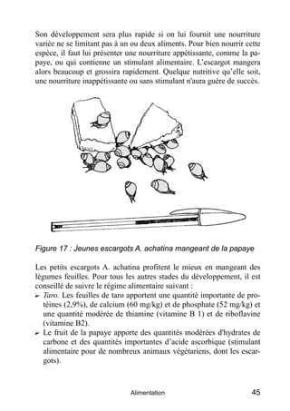 Son développement sera plus rapide si on lui fournit une nourriture
variée ne se limitant pas à un ou deux aliments. Pour ...