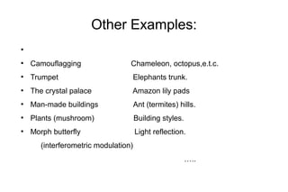 Other Examples:
●
●
Camouflagging Chameleon, octopus,e.t.c.
●
Trumpet Elephants trunk.
●
The crystal palace Amazon lily pads
●
Man-made buildings Ant (termites) hills.
●
Plants (mushroom) Building styles.
●
Morph butterfly Light reflection.
(interferometric modulation)
…..
 