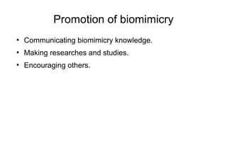Promotion of biomimicry
●
Communicating biomimicry knowledge.
●
Making researches and studies.
●
Encouraging others.
 