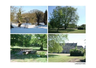 LUNGHOLM PARK
 