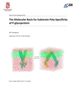 Master Essay July/August 2013
The Molecular Basis for Substrate Poly-Specificity
of P-glycoprotein
M.S. Overgaauw
Supervisor: Prof. Dr. A.J.M. Driessen
Source image: Mchaourab et. al. (mpsdc)
i
o
 