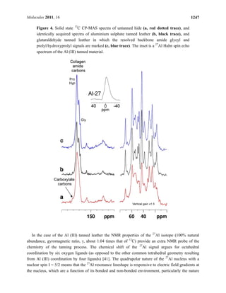 Molecules 2011, 16 1247
Figure 4. Solid state 13
C CP-MAS spectra of untanned hide (a, red dotted trace), and
identically acquired spectra of aluminium sulphate tanned leather (b, black trace), and
glutaraldehyde tanned leather in which the resolved backbone amide glycyl and
prolyl/hydroxyprolyl signals are marked (c, blue trace). The inset is a 27
Al Hahn spin echo
spectrum of the Al (III) tanned material.
In the case of the Al (III) tanned leather the NMR properties of the 27
Al isotope (100% natural
abundance, gyromagnetic ratio, γ, about 1.04 times that of 13
C) provide an extra NMR probe of the
chemistry of the tanning process. The chemical shift of the 27
Al signal argues for octahedral
coordination by six oxygen ligands (as opposed to the other common tetrahedral geometry resulting
from Al (III) coordination by four ligands) [41]. The quadrupolar nature of the 27
Al nucleus with a
nuclear spin I = 5/2 means that the 27
Al resonance lineshape is responsive to electric field gradients at
the nucleus, which are a function of its bonded and non-bonded environment, particularly the nature
 