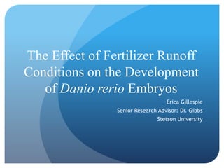 The Effect of Fertilizer Runoff
Conditions on the Development
of Danio rerio Embryos
Erica Gillespie
Senior Research Advisor: Dr. Gibbs
Stetson University
 
