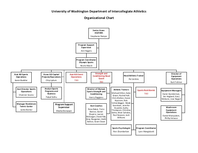 Sports Organizational Chart