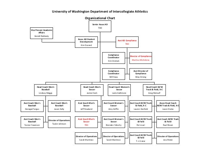 Athletics Organizational Chart