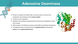 Adenosine Deaminase
 Present in virtually all mammalian cells, its primary function in humans is the
development and maintenance of the immune system.
 Involved in purine metabolism.
 Needed for the breakdown of adenosine from food and for the metabolism of nucleic
acid in tissues.
 ADA is present in all cell types; its enzyme activity differs considerably among tissues.
 The highest amounts in humans are found in lymphoid tissues, particularly the
thymus, and the gastrointestinal tract.
 