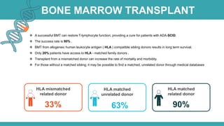  A successful BMT can restore T-lymphocyte function, providing a cure for patients with ADA-SCID.
 The success rate is 90% .
 BMT from allogeneic human leukocyte antigen ( HLA ) compatible sibling donors results in long term survival.
 Only 20% patients have access to HLA - matched family donors .
 Transplant from a mismatched donor can increase the rate of mortality and morbidity.
 For those without a matched sibling, it may be possible to find a matched, unrelated donor through medical databases
63%33%
HLA matched
unrelated donor
HLA mismatched
related donor
90%
HLA matched
related donor
BONE MARROW TRANSPLANT
 