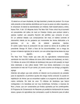 14
El etanol es un buen disolvente, de baja toxicidad y barato de producir. Es el que
está presente en las bebidas alcohólicas por lo que se grava con altos impuestos y
lo encarecen. El etanol se desnaturaliza con metanol, metil isobutil cetona y bitrex.
Nueva York, 5 abr.- El influyente diario The New York Times criticó hoy el aumento
sin precedentes del cultivo de maíz en Estados Unidos para producir etanol y
apenas sustituir una pequeña fracción del petróleo que consume el país.
En un editorial titulado Las consecuencias del maíz, el rotativo comenta el
desmedido interés de los granjeros por incrementar las tierras dedicadas a la
gramínea, en su afán de obtener ganancias rápidas.
El súbito vuelco hacia la producción de ese cereal se deriva de la política del
presidente George W. Bush a favor de los biocombustibles, aún a riesgo de
romper el balance agrícola de la nación, con una súbita baja de las áreas de soya
o algodón, entre otras.
The New York Times revela que este año los agricultores norteamericanos
sembrarán de maíz 90.5 millones de acres (36.6 millones de hectáreas), es decir,
12 millones de acres (4.8 millones de hectáreas) más que el año pasado, la mayor
área destinada a ese cultivo desde 1944. Las tierras destinadas a la soya
disminuirán en más del 10 por ciento y lo mismo ocurrirá con el trigo y el algodón,
agrega el diario.
Además del peligro que esto entraña en relación con la producción de cereales
para la exportación, el periódico apunta otro riesgo menos conocido: la puesta en
explotación de tierras que se encuentran sujetas a un programa de protección del
medio ambiente. Se trata de unos 15 millones de hectáreas que fueron
reintegradas a la naturaleza por ser muy montañosas, húmedas, o reservas de
flora y fauna, que son conservadas por fondos aportados por los contribuyentes.
El Programa de Conservación de Reservas ya paralizó la incorporación de nuevas
áreas y grupos de agricultores han comenzado a pedir la liberación para el cultivo
 