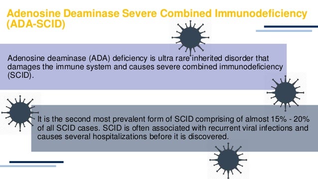 scid ada deficiency scid ada deficiency