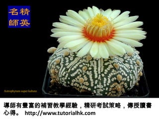 Astrophytum super kabuto




導師有豐富的補習教學經驗，精研考試策略，傳授讀書
心得。 http://www.tutorialhk.com
 