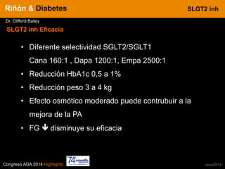 Congreso ADA 2014 Highlights xcos2014
IN CRE TINESRiñón & Diabetes
Dr. Clifford Bailey
•  Diferente selectividad SGLT2/SGLT1
Cana 160:1 , Dapa 1200:1, Empa 2500:1
•  Reducción HbA1c 0,5 a 1%
•  Reducción peso 3 a 4 kg
•  Efecto osmótico moderado puede contrubuir a la
mejora de la PA
•  FG ê disminuye su eficacia
SLGT2 inh Eficacia
SLGT2 inh
 