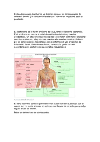 En la adolescencia, los jóvenes ya deberían conocer las consecuencias de
consumir alcohol y el consumo de sustancias. Por ello es importante estar al
pendiente.
El alcoholismo es el mayor problema de salud, tanto social como económica.
Está implicado en más de la mitad de accidentes de tráfico y muertes
accidentales. Un alto porcentaje de suicidios se cometen combinando el alcohol
con otras sustancias, y hay muchas muertes relacionadas con el alcoholismo
por las complicaciones relacionadas con la enfermedad. Los programas de
tratamiento tienen diferentes resultados, pero mucha gente con una
dependencia del alcohol tiene una completa recuperación.
Ilustración 18. Daño del alcohol
El daño es severo como se puede observar puesto que son sustancias que el
cuerpo aun no puede soportar en periodos muy largos, es por esto que se debe
regular el uso de alcohol.
Índice de alcoholismo en adolescentes.
 