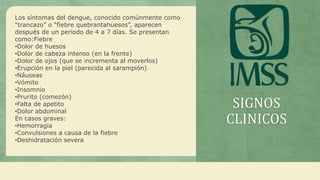 SIGNOS
CLINICOS
Los síntomas del dengue, conocido comúnmente como
“trancazo” o “fiebre quebrantahuesos”, aparecen
después de un periodo de 4 a 7 días. Se presentan
como:Fiebre
•Dolor de huesos
•Dolor de cabeza intenso (en la frente)
•Dolor de ojos (que se incrementa al moverlos)
•Erupción en la piel (parecida al sarampión)
•Náuseas
•Vómito
•Insomnio
•Prurito (comezón)
•Falta de apetito
•Dolor abdominal
En casos graves:
•Hemorragia
•Convulsiones a causa de la fiebre
•Deshidratación severa
 