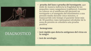 DIAGNOSTICO
• prueba del lazo o prueba del torniquete, que
mide de manera indirecta la fragilidad de los
pequeños vasos sanguíneos (capilares). Consiste
en colocar en el antebrazo del paciente un
torniquete o el manguito del tensiómetro a una
presión media durante cinco minutos, si
transcurrido este tiempo el paciente tiene más
de 30 puntitos rojos (petequias) alrededor de la
zona de presión se considera una prueba
positiva
• hemograma
• test rápido que detecta antígenos del virus en
la sangre
• test de serología
 