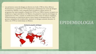 • Los primeros casos de dengue se dieron en el año 1780 en Asia, Africa y
Norteamerica, a partirt de 1970 empezaron a disminuir los casos de dengue
en America; debido a una campaña para erradicar a dicho mosco. El
programa fue interrumpido a finales de 1970 y en 1980 el mosco recupero su
poblacion y logró extenderse. En México, los primeros reportes de dengue se
registraron en 1941, cuando se notificaron 6,955 casos en toda la república,
Posteriormente se reportaron pocos casos, hasta su desaparición en 1963
gracias campañas de erradicación, mantuvo el dengue ausente durante 12
años y en 1978 se reintrodujo en México.
EPIDEMIOLOGIA
 