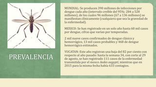 PREVALENCIA
MUNDIAL: Se producen 390 millones de infecciones por
dengue cada año (intervalo creíble del 95%: 284 a 528
millones), de los cuales 96 millones (67 a 136 millones) se
manifiestan clínicamente (cualquiera que sea la gravedad de
la enfermedad).
MEXICO: Se han registrado en un solo año hasta 60 mil casos
por dengue, cifras que varían por temporadas.
2 mil nueve casos confirmados de dengue clásico y
hemorrágico, 13 mil casos probables y 468 de dengue
hemorrágico estimados.
YUCATAN: Este año registran una baja del 82 por ciento con
respecto al año pasado: hasta la semana 34, con corte al 29
de agosto, se han registrado 111 casos de la enfermedad
transmitida por el mosco Aedes aegypti, mientras que en
2015 para la misma fecha había 633 contagios.
 