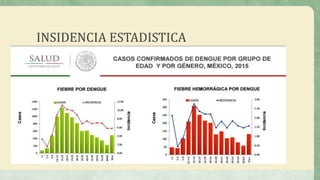 INSIDENCIA ESTADISTICA
 