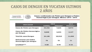 CASOS DE DENGUE EN YUCATAN ULTIMOS
2 AÑOS
 