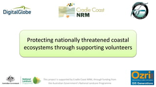 Protecting nationally threatened coastal
ecosystems through supporting volunteers
This project is supported by Cradle Coast NRM, through funding from
the Australian Government’s National Landcare Programme
 