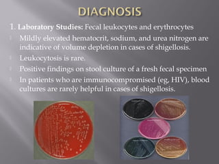 1. Laboratory Studies: Fecal leukocytes and erythrocytes
   Mildly elevated hematocrit, sodium, and urea nitrogen are
    indicative of volume depletion in cases of shigellosis.
   Leukocytosis is rare.
   Positive findings on stool culture of a fresh fecal specimen
   In patients who are immunocompromised (eg, HIV), blood
    cultures are rarely helpful in cases of shigellosis.
 