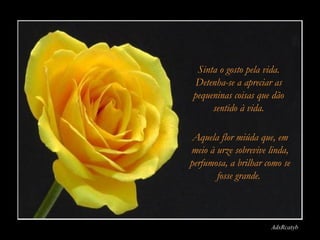 AdsRcatyb
Sinta o gosto pela vida.
Detenha-se a apreciar as
pequeninas coisas que dão
sentido à vida.
Aquela flor miúda que, em
meio à urze sobrevive linda,
perfumosa, a brilhar como se
fosse grande.
 