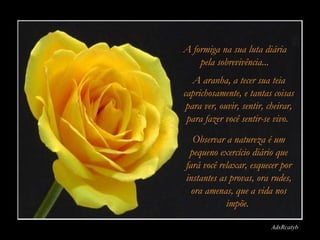 A formiga na sua luta diária
    pela sobrevivência...
   A aranha, a tecer sua teia
caprichosamente, e tantas coisas
 para ver, ouvir, sentir, cheirar,
 para fazer você sentir-se vivo.
  Observar a natureza é um
 pequeno exercício diário que
fará você relaxar, esquecer por
instantes as provas, ora rudes,
  ora amenas, que a vida nos
            impõe.

                           AdsRcatyb
 