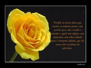 Perdido na névoa densa que
 envolve os próprios passos, não
   percebe que o dia o saúda e
convida a seguir com alegria, com
  disposição, com olhar voltado
para o horizonte infinito, que lhe
     acena com o perfume da
           esperança.




                           AdsRcatyb
 