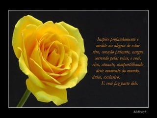 Inspire profundamente e
  medite na alegria de estar
vivo, coração pulsante, sangue
 correndo pelas veias, e você,
vivo, atuante, compartilhando
  deste momento do mundo,
único, exclusivo.
      E você faz parte dele.




                        AdsRcatyb
 