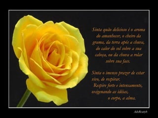 Sinta quão delicioso é o aroma
  do amanhecer, o cheiro da
grama, da terra após a chuva,
  do calor do sol sobre a sua
 cabeça, ou da chuva a rolar
        sobre sua face.

Sinta o imenso prazer de estar
vivo, de respirar.
 Respire forte e intensamente,
oxigenando as idéias,
          o corpo, a alma.

                        AdsRcatyb
 