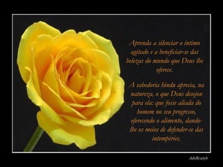 AdsRcatyb Aprenda a silenciar o íntimo agitado e a beneficiar-se das belezas do mundo que Deus lhe oferece. A sabedoria hindu aprecia, na natureza, o que Deus desejou para ela: que fosse aliada do homem no seu progresso, oferecendo o alimento, dando-lhe os meios de defender-se das intempéries. 