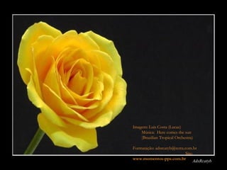 AdsRcatyb Imagem: Luis Costa (Lucaz)  Música:  Here comes the sun  (Brazilian Tropical Orchestra)  Formatação: adsrcatyb@terra.com.br  Site:  www.momentos-pps.com.br 