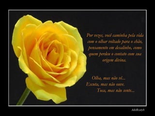 AdsRcatyb Por vezes, você caminha pela vida com o olhar voltado para o chão, pensamento em desalinho, como quem perdeu o contato com sua origem divina.   Olha, mas não vê...  Escuta, mas não ouve.  Toca, mas não sente... 