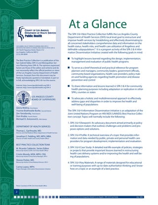 Developing an innovative service integration model in Los Angeles | PDF