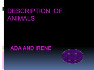 DESCRIPTION OF 
ANIMALS 
ADA AND IRENE 
 