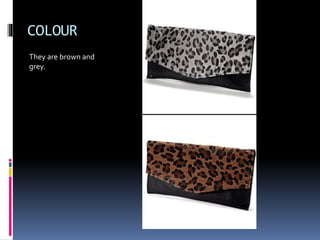 COLOUR 
They are brown and 
grey. 
 