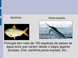 Portugal tem mais de 100 espécies de peixes de
água doce que variam desde o bagre gigante
europeu. Exe: sardinha,peixe-espada, etc...
Sardinha Peixe-espada
 