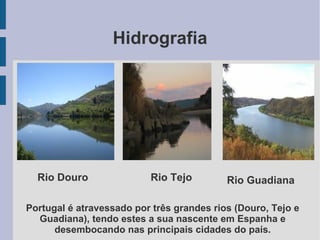 Hidrografia
Portugal é atravessado por três grandes rios (Douro, Tejo e
Guadiana), tendo estes a sua nascente em Espanha e
desembocando nas principais cidades do país.
Rio Douro Rio Tejo Rio Guadiana
 