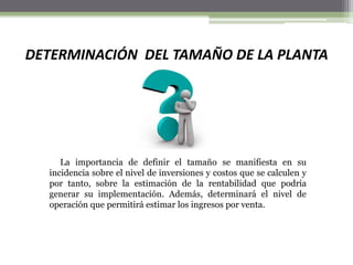 DETERMINACIÓN DEL TAMAÑO DE LA PLANTA
La importancia de definir el tamaño se manifiesta en su
incidencia sobre el nivel de inversiones y costos que se calculen y
por tanto, sobre la estimación de la rentabilidad que podría
generar su implementación. Además, determinará el nivel de
operación que permitirá estimar los ingresos por venta.
 