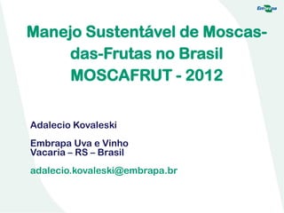 Manejo Sustentável de Moscas-
das-Frutas no Brasil
MOSCAFRUT - 2012
Adalecio Kovaleski
Embrapa Uva e Vinho
Vacaria – RS – Brasil
adalecio.kovaleski@embrapa.br
 