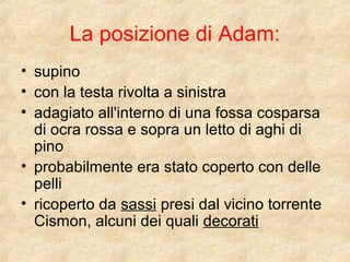 La posizione di Adam: 
• supino 
• con la testa rivolta a sinistra 
• adagiato all'interno di una fossa cosparsa 
di ocra rossa e sopra un letto di aghi di 
pino 
• probabilmente era stato coperto con delle 
pelli 
• ricoperto da sassi presi dal vicino torrente 
Cismon, alcuni dei quali decorati 
 