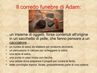 Il corredo funebre di Adam: 
…un insieme di oggetti, forse contenuti all'origine 
in un sacchetto di pelle, che fanno pensare a un 
cacciatore... 
• un nucleo di selce da sfaldare per produrre strumenti, 
• un percussore in calcare per scheggiare la selce, 
• una lama di selce, 
• una punta in osso incisa con tacche, 
• una ciotola dove preparare il propoli per curare le ferite, 
• delle conchiglie marine, forate, probabilmente parte di una collana. 
 