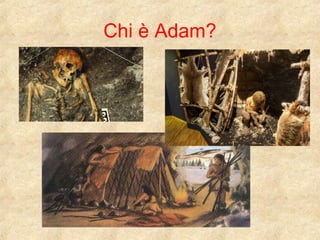 Chi è Adam? 
 