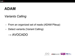 ADAM 
Variants Calling 
- From an organized set of reads (ADAM Pileup) 
- Detect variants (Variant Calling) 
→ AVOCADO 
 