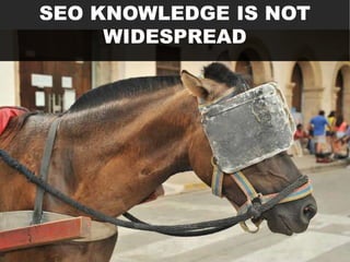 SEO KNOWLEDGE IS NOT
WIDESPREAD

 