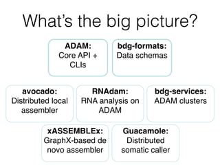 What’s the big picture?
ADAM:!
Core API +
CLIs
bdg-formats:!
Data schemas
RNAdam:!
RNA analysis on
ADAM
avocado:!
Distribu...