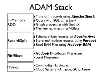 ADAM Stack
Physical
File/Block
Record/Split
‣Commodity Hardware	

‣Cloud Systems - Amazon, GCE, Azure
‣Hadoop Distributed Filesystem	

‣Local Filesystem
‣Schema-driven records w/ Apache Avro	

‣Store and retrieve records using Parquet	

‣Read BAM Files using Hadoop-BAM
In-Memory
RDD
‣Transform records using Apache Spark	

‣Query with SQL using Shark	

‣Graph processing with GraphX	

‣Machine learning using MLBase
 