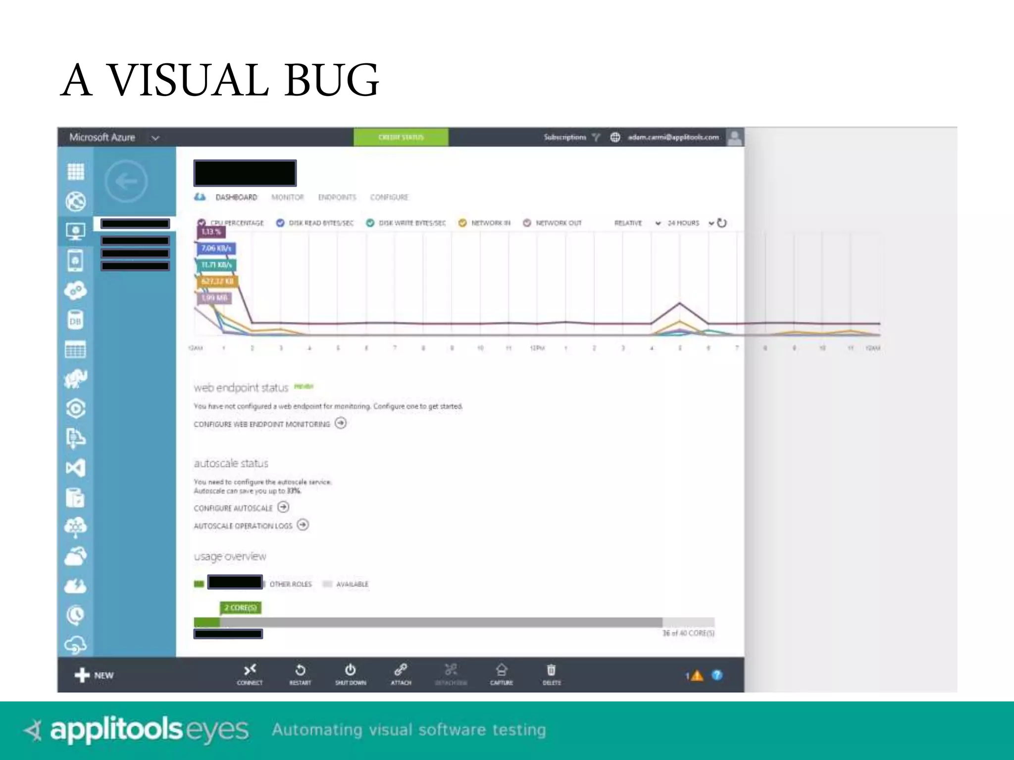A VISUAL BUG 
 