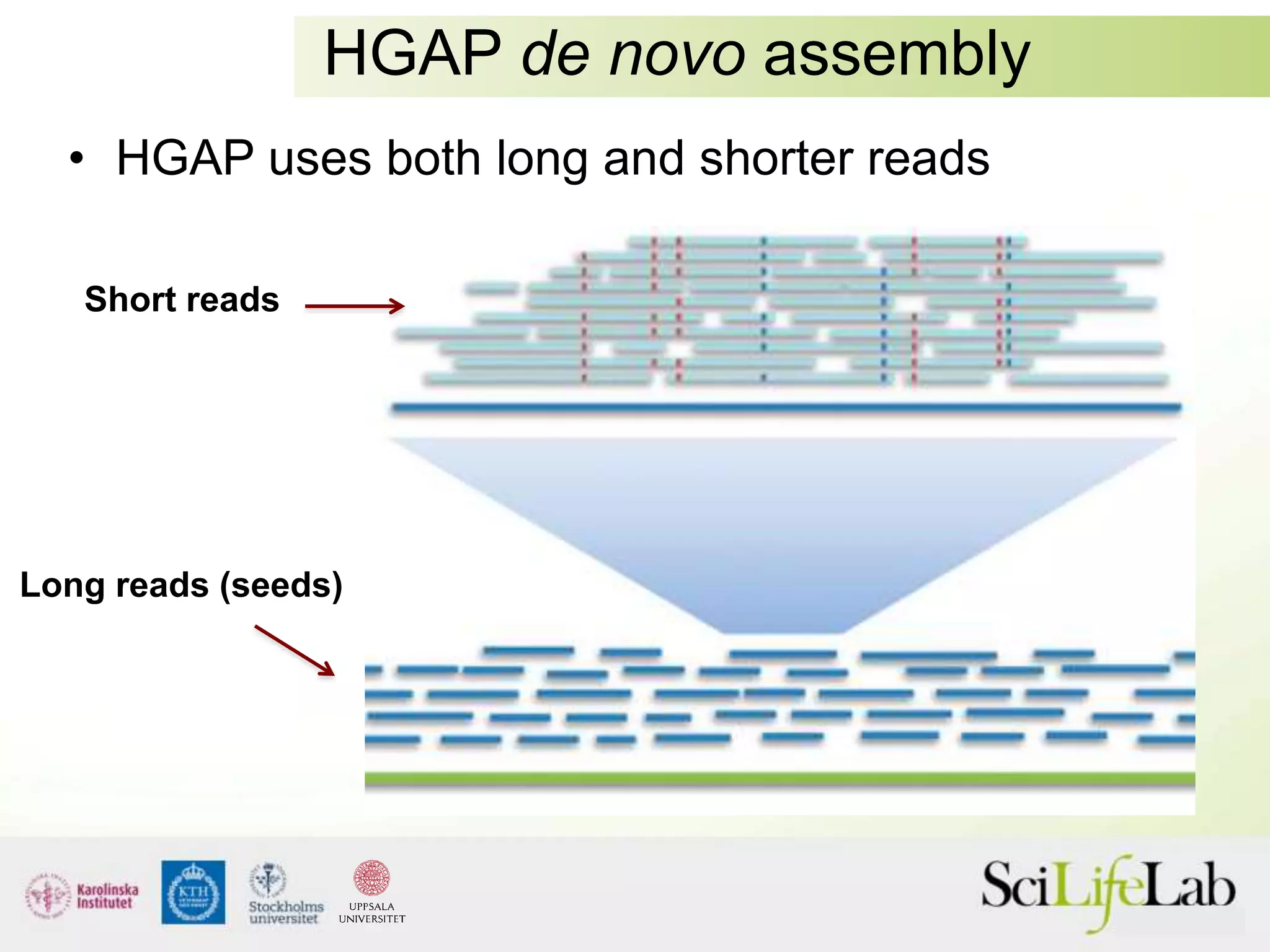 HGAP de novo assembly
• HGAP uses both long and shorter reads
Long reads (seeds)
Short reads
 